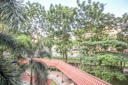 Blk 244 Bukit Batok East Avenue 5 (Bukit Batok), HDB 4 Rooms #179389752